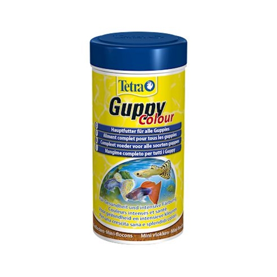 Picture of Tetra Guppy Colour 100 ml