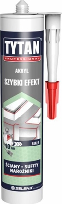 Picture of Tytan AKRYL TYTAN PROFESSIONAL SZYBKI EFEKT 280ML
