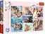 Изображение Trefl Puzzle 100 elementów W kocim wiecie