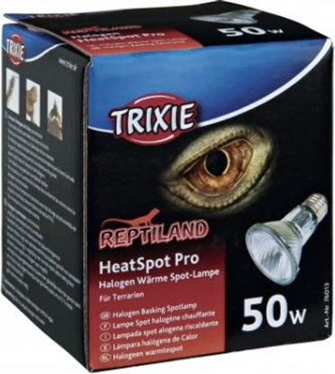 Attēls no Trixie HeatSpot Pro, halogenowa lampa grzewcza, 50W