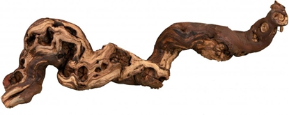 Picture of Trixie Korzenie winorola 5szt. piaskowane 35-45cm