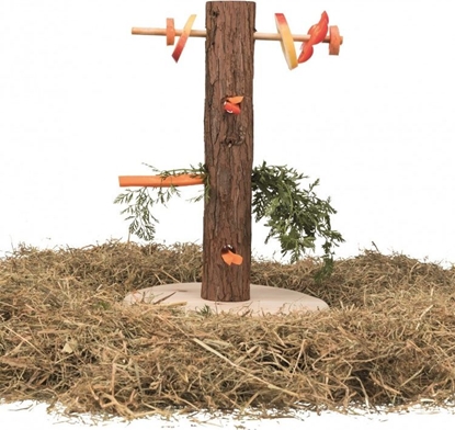 Attēls no Trixie Panik stojak na przysmaki królika gryzoni Trixie uniwersalny