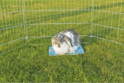 Attēls no Trixie Płyta ceramiczna chłodząca królika świnki gryzoni uniwersalny