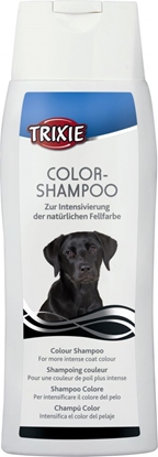 Изображение Trixie SZAMPON KOLORYZUJCY DO CZARNEGO I CIEMNEGO UMASZCZENIA 250ml