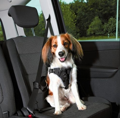 Picture of Trixie Szelki samochodowe dla psa (M) 50–65 cm/20 mm