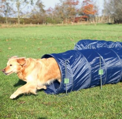 Attēls no Trixie TUNEL NYLONOWY 60CM/5.OOM