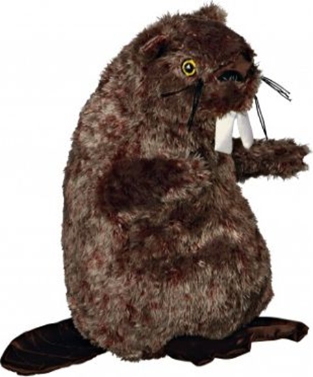 Picture of Trixie ZABAWKA BÓBR PLUSZOWY Z DWIKIEM, 27 cm