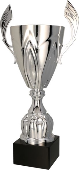 Picture of Tryumf Puchar metalowy srebrny (4127B)