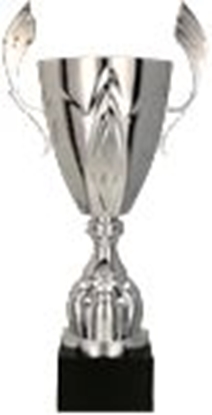 Attēls no Tryumf Puchar metalowy zoty z przykrywk 4127/DP