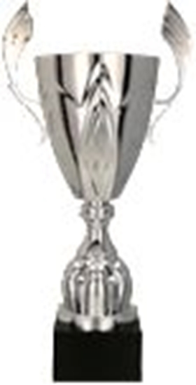 Picture of Tryumf Puchar metalowy zoty z przykrywk 4127/DP