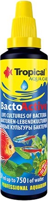 Attēls no Tropical Bacto-Active (szczepy bakterii) butelka 30 ml