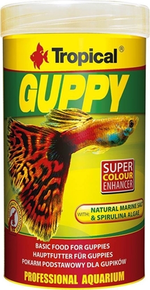 Picture of Tropical Tropical Guppy puszka 250ml