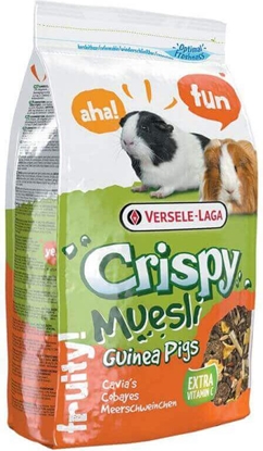 Picture of Versele-Laga 2,75kg CRISPY MUESLI WINKA