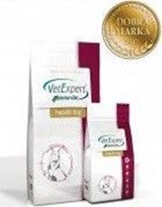 Picture of VetExpert 4T Veterinary Diet Hepatic Dog 12kg