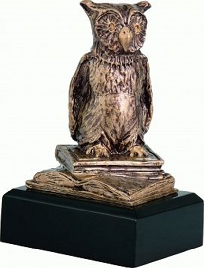 Picture of Victoria Sport Figurka odlewana szkoa - sowa - nauka RTY630/BR