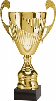 Attēls no Victoria Sport Puchar metalowy zoty T-M 7098D