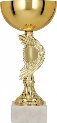 Attēls no Victoria Sport Puchar metalowy zoty T-M 9031B