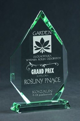 Attēls no Victoria Sport Trofeum szklane grawerowane z etui