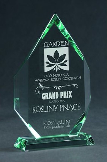 Picture of Victoria Sport Trofeum szklane grawerowane z etui