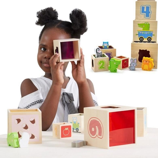 Picture of Viga Toys VIGA Drewniana Piramidka Ukadanka Klocki Sorter