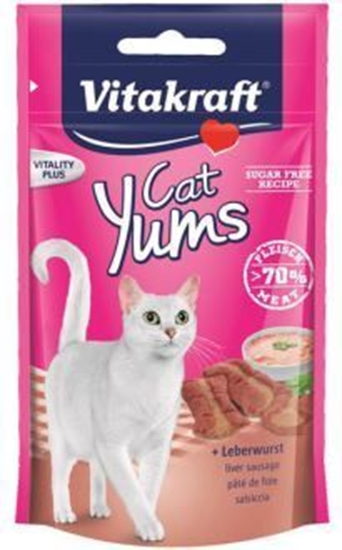 Picture of Vitakraft KOT CAT YUMS WTROBA 40g