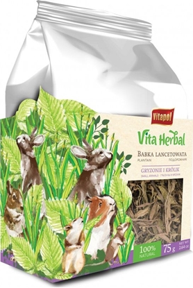Attēls no Vitapol Vita Herbal dla gryzoni i królika, babka lancetowata, 75g