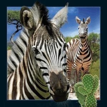 Picture of Worth Keeping Magnes 3D Zebra (182625)