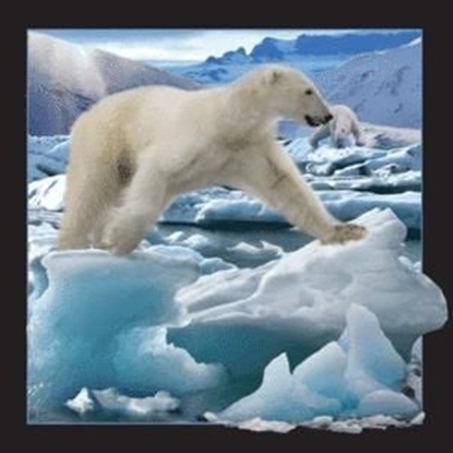 Изображение Worth-Keeping Magnes 3D Niedźwiedź Polarny w skoku (182520)