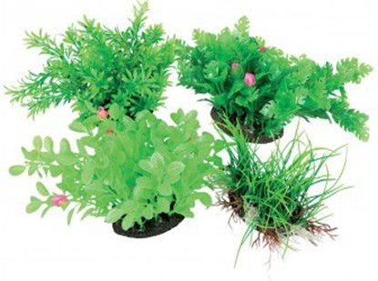 Изображение Zolux Napowietrzacz Aeroplant - M