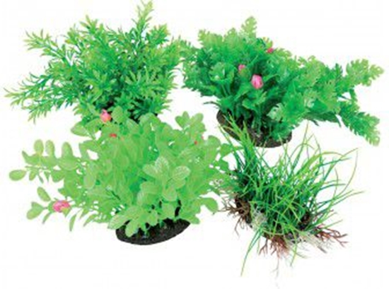 Изображение Zolux Napowietrzacz Aeroplant - M