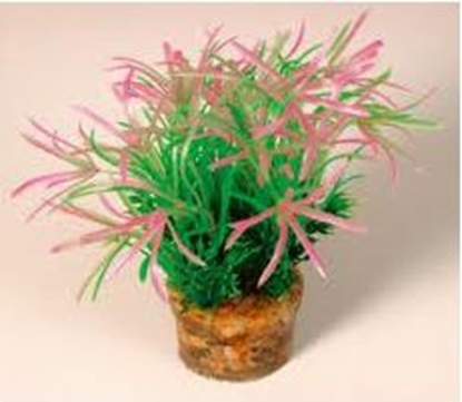 Изображение Zolux Rolina maa z zestawu nr 2