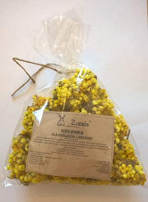 Attēls no Zuzala KOCANKA