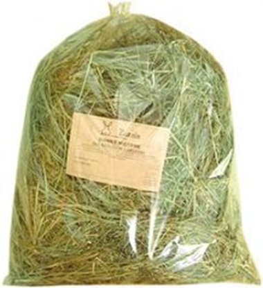 Attēls no Zuzala SIANKO MITOWE