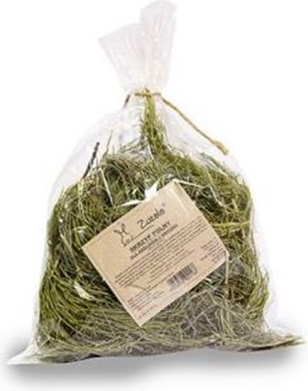 Picture of Zuzala SKRZYP POLNY