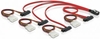 Picture of Delock Cable mini SAS SFF-8087 > 4 x SAS SFF-8482 + power 0.5 m