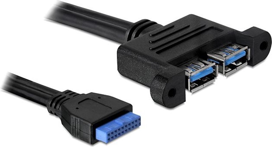 Picture of Delock USB 5 Gbps Cable Pin Header female to 2 x USB Type-A female adjacent 45 cm