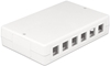 Picture of Delock Keystone Surface Mounted Box 12 Port
