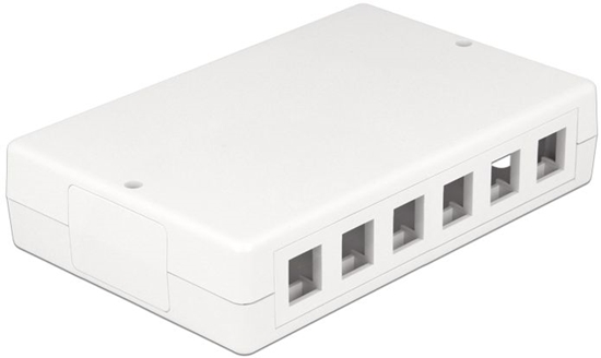 Изображение Delock Keystone Surface Mounted Box 12 Port