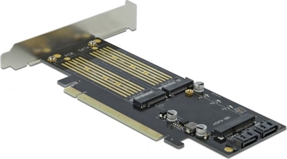 Attēls no Delock PCI Express x16 Card to 1 x M.2 Key B + 1 x NVMe M.2 Key M + 1 x mSATA - Low Profile Form Factor
