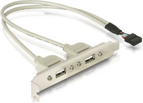 Изображение Kronšteins 2xUSB2.0 -> 1xUSB9pin iekšējs, 0.3m, Delock