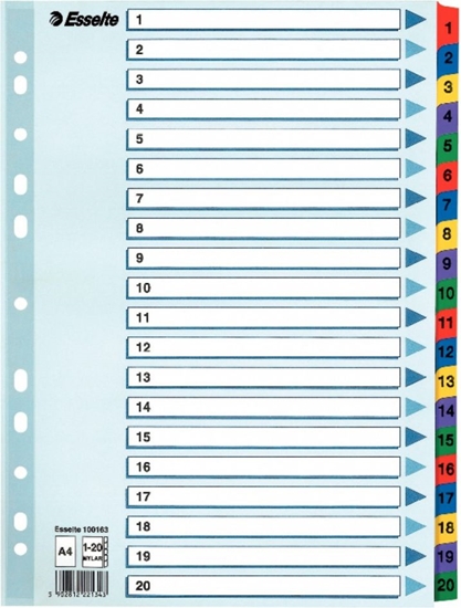 Picture of Esselte 1-20 KARTONOWE,BIALE - 100163
