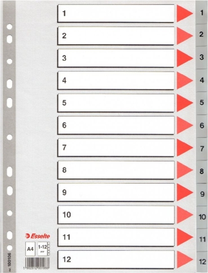 Picture of Divider Esselte PP, A4, numbers 1-12, plastic