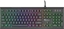 Picture of Klawiatura Genesis Thor 210 RGB Mecha-membran (NKG-1646)