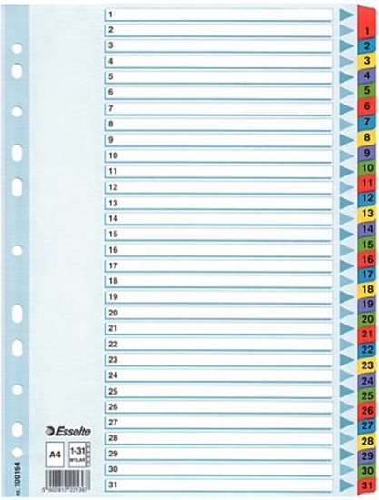 Изображение Esselte Przekadki do segregatora Esselte A4 Mylar kartonowe (10K055E)