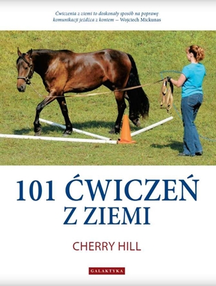 Picture of 101 ĆWICZEŃ Z ZIEMI WYD. 2