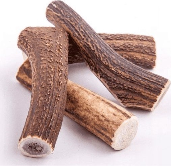 Picture of 4DOGS 4DOGS GRYZAK XS (HARD)