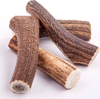 Attēls no 4DOGS GRYZAK XXL (HARD)