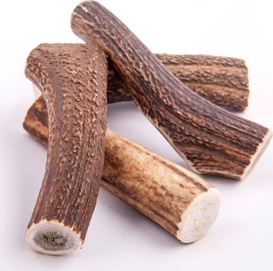 Picture of 4DOGS GRYZAK XXL (HARD)