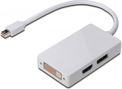 Picture of Adapter AV Digitus DisplayPort Mini - DisplayPort - HDMI - DVI biały (AK-340509-002-W)