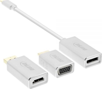 Attēls no Adapter USB InLine USB-C - DisplayPort Biay (64109S)